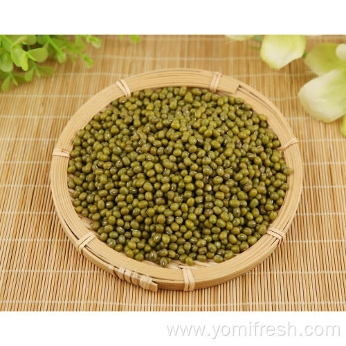A Green Beans Vegetable